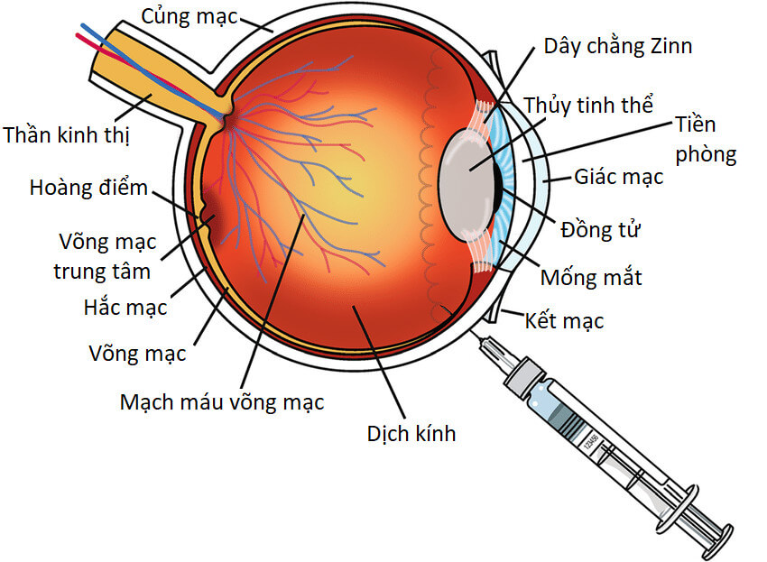 tiem-thuoc-noi-nhan