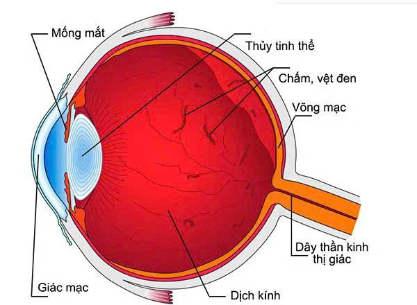 van-duc-dich-kinh