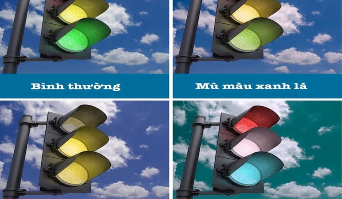 Hình ảnh minh họa mù màu xanh lá và tầm nhìn bình thường qua tín hiệu đèn giao thông