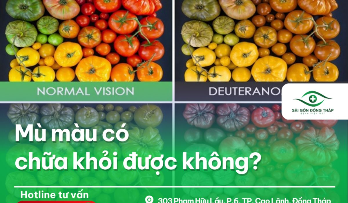 So sánh màu sắc cà chua ở người bình thường và người bị mù màu đỏ xanh